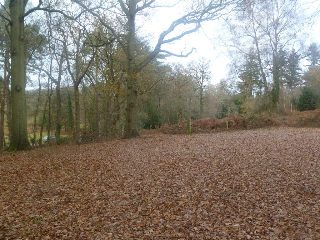 A Forestry England car park at Burley. Charging began across 129 forest car parks on 20 April 2026